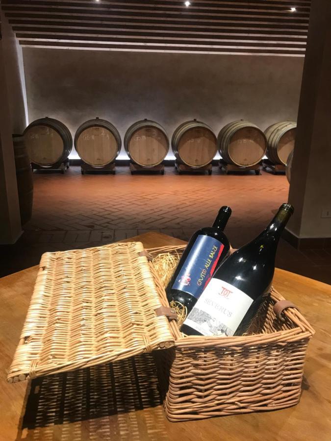 Agriturismo Podere Marcampo 渥尔特拉 外观 照片