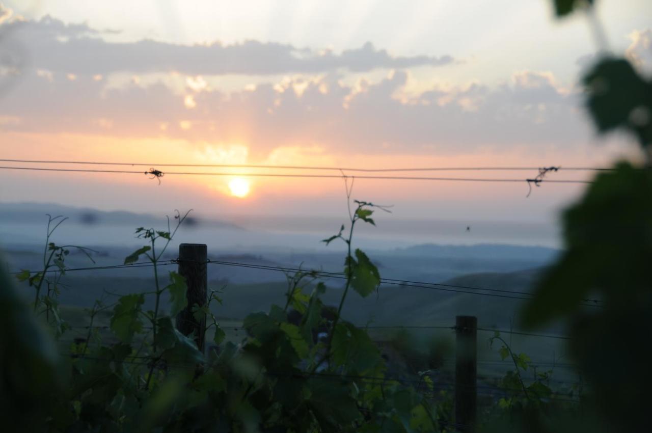 Agriturismo Podere Marcampo 渥尔特拉 外观 照片