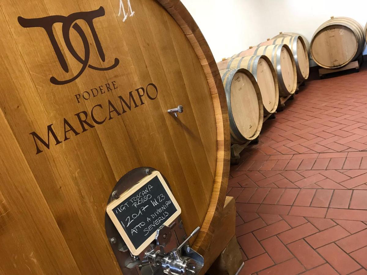 Agriturismo Podere Marcampo 渥尔特拉 外观 照片