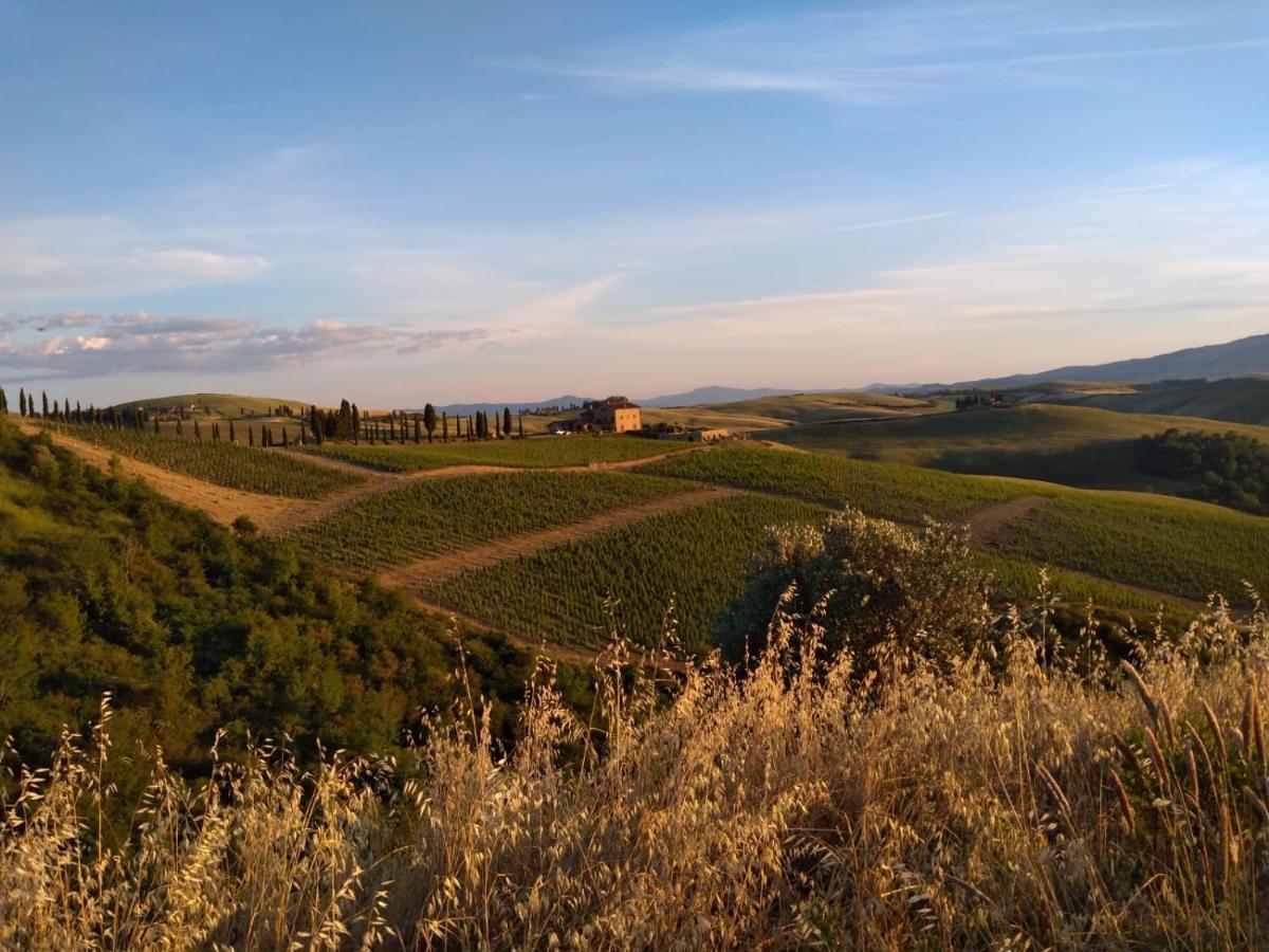 Agriturismo Podere Marcampo 渥尔特拉 外观 照片